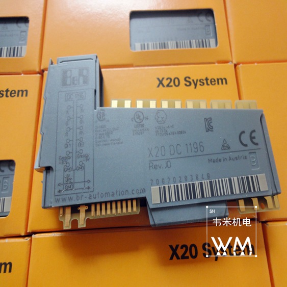 X20DC1196 (2).jpg